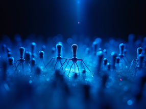 New biotech venture PHIOGEN to tackle the global threat of antimicrobial resistance