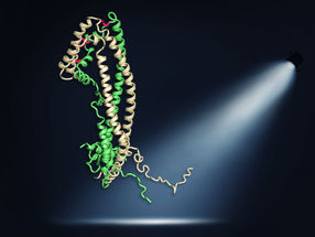 New insights into the function of a risk factor for Alzheimer’s disease