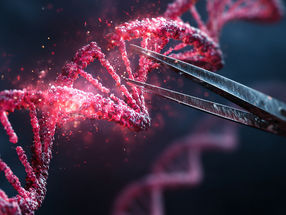 Gene scissors in camouflage mode help in the search for cancer therapies