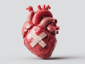 New active ingredients for the treatment of heart failure