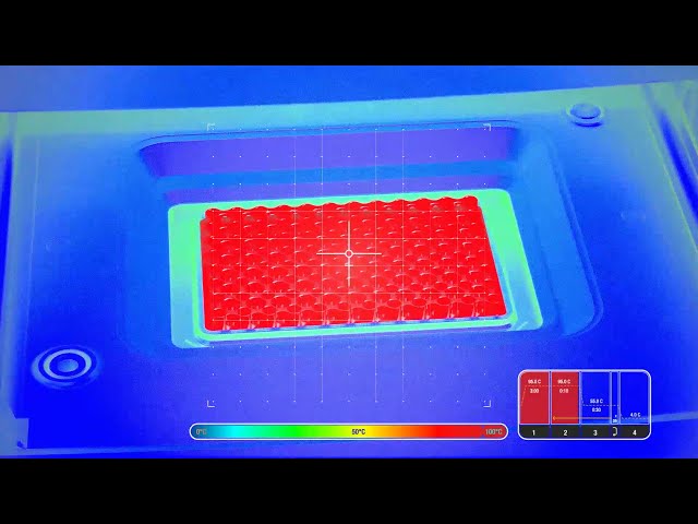 Offering everything you need for real-time PCR experiments, from sample preparation to data analysis