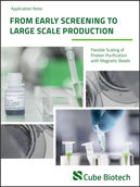 From Early Screening to Large Scale Production: Flexibility of Magnetic Beads