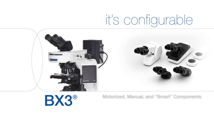 Excellence as a fluorescence microscope for in situ hybridization or as a polarizing microscope