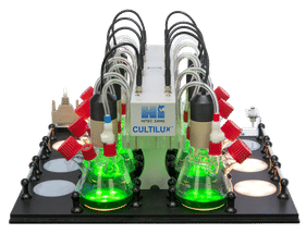 Phototrophic microorganisms can also be optimally cultiv ...